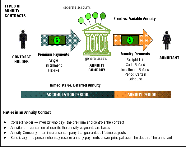 Types of Annuity Contracts — diagram showing contract holder, annuitant, annuity company, accumulation and annuity periods